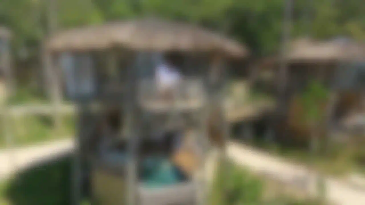 Walkthrough - Treehouse Villa