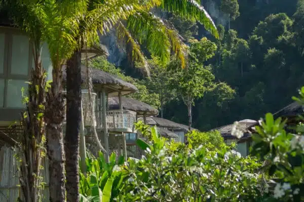 Treehouse Villa