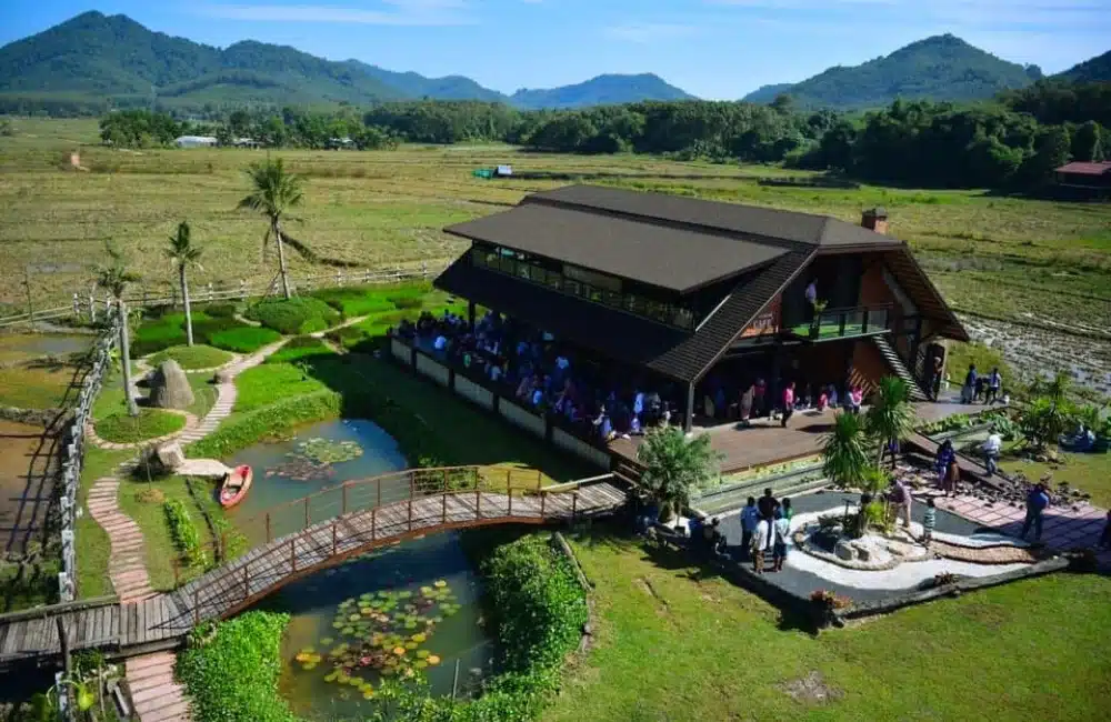 4-cafe-in-koh-yao-noi-2