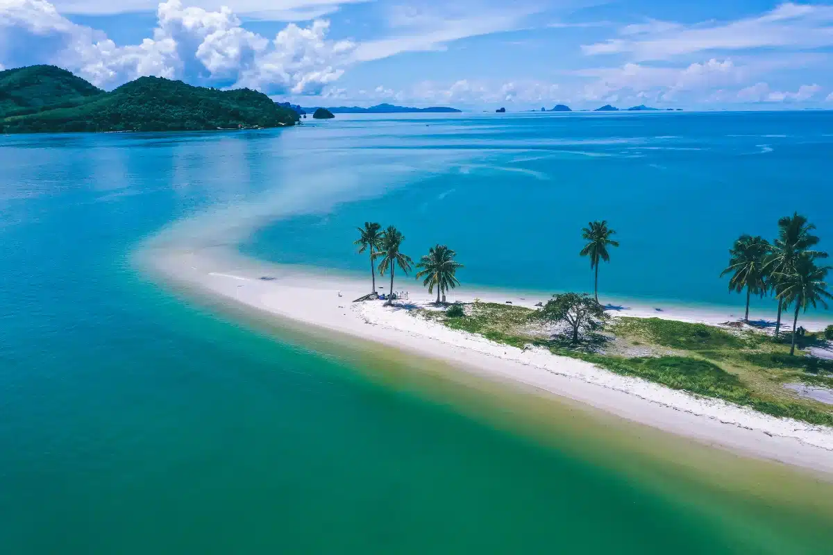 ไฮไลต์บนแหลมหาด