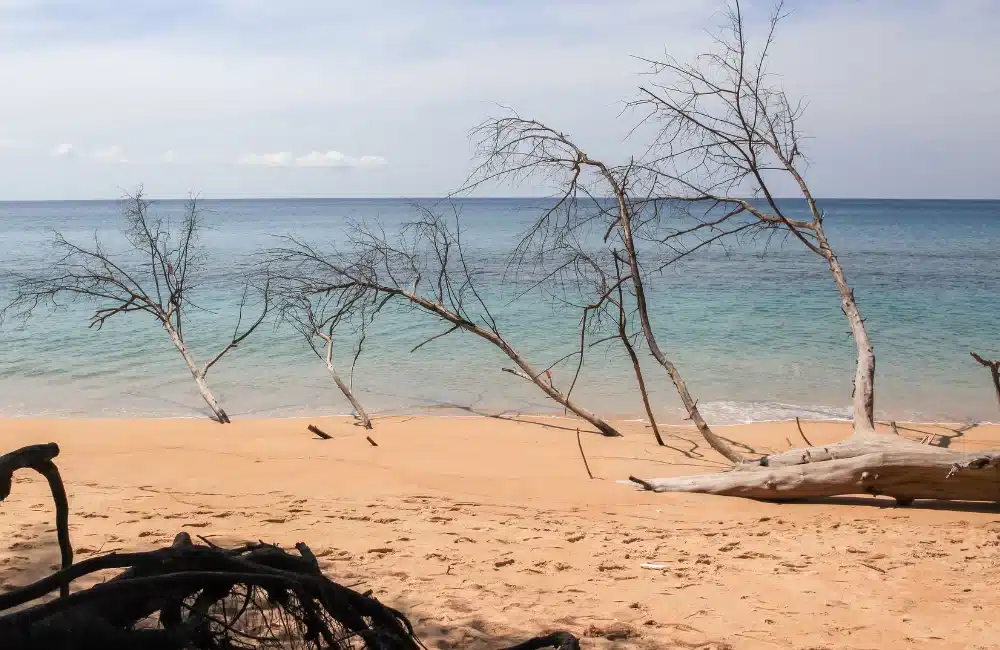 หาดทรายแก้ว