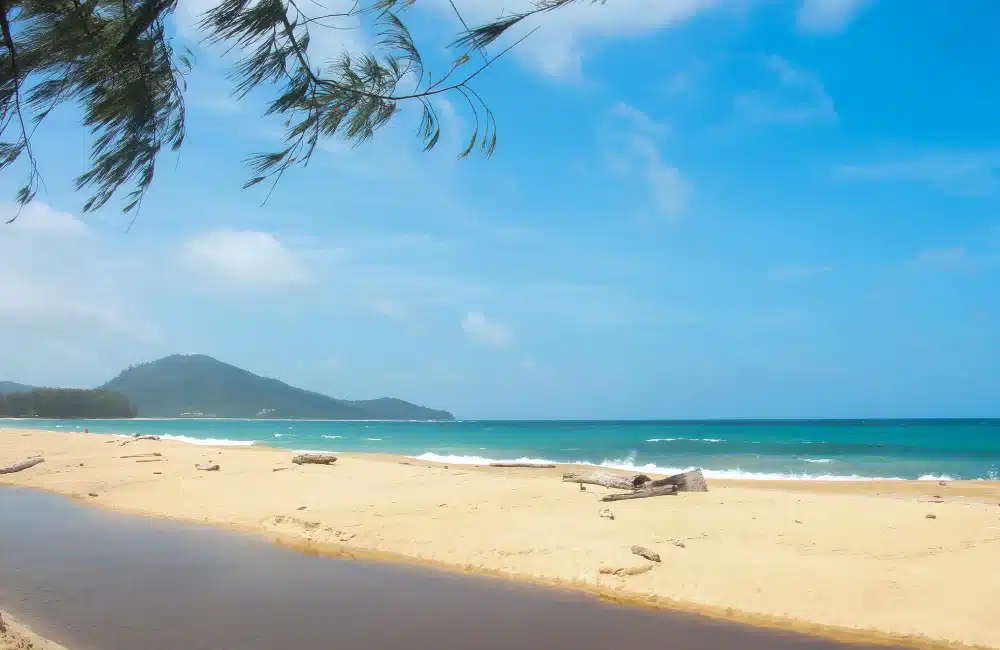 หาดไม้ขาว